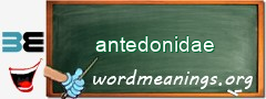 WordMeaning blackboard for antedonidae